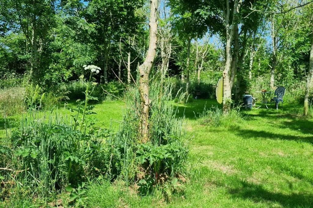 קמבורן Hallegan Annexe With Private Garden And Woodland מראה חיצוני תמונה